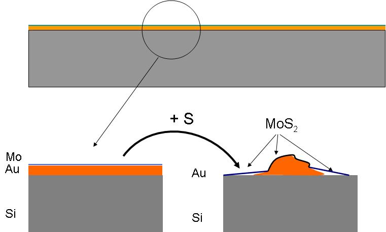 9. Formation of suspended MoS 2 film. Figure S9. Illustrations of the formation of suspended MoS 2 film. The Au and Mo layers are deposited by sputtering and E-beam evaporator, respectively.