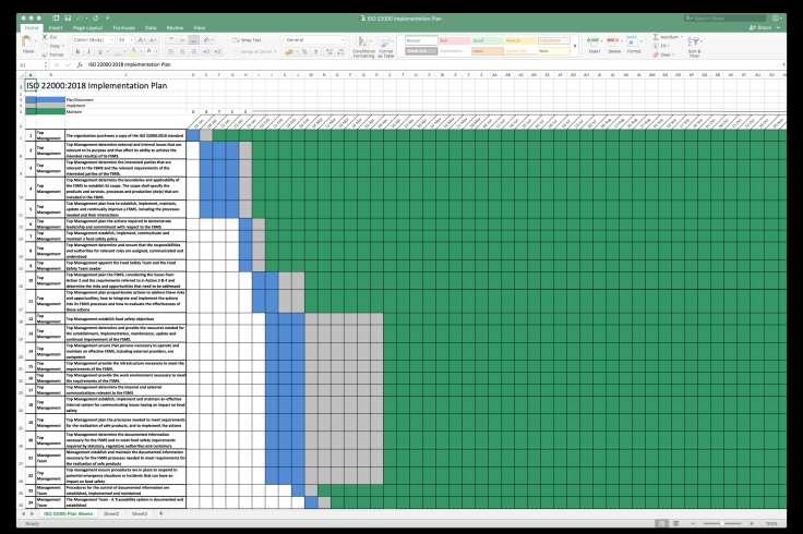 Project Plan The Steering Group use the Excel Project Plan developed by Top