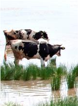 I. Water in agriculture (2) Context Balancing water supply and demand at