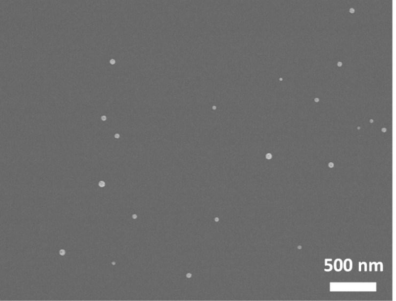 SEM imaging of amalgamated nanorods immediately after removal from Hg(II) solution Supplementary to the time dependent optical characterization of Au nanorods exposed to Hg(II) solutions, SEM images