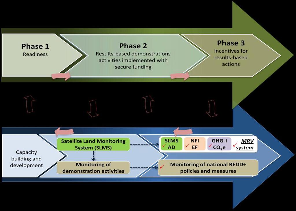 Figure 6. Phased implementation of the NFMS. Phase 2 involves the operationalization of monitoring for REDD+, provided by the SLMS and other relevant proxies.