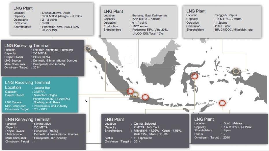 Limitation of Natural Gas Infrasructure LNG Receiving Terminal Location : Benoa, Bali