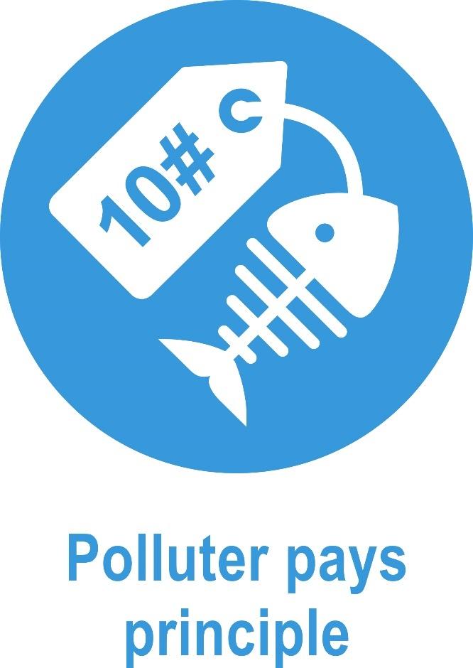 Rio Declaration Principle 16: polluter should, in principle, bear the cost of pollution OECD 1972 Polluter pays principles covers