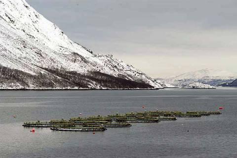 Nordic aquaculture a