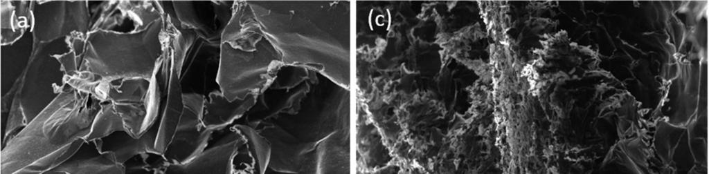 3 Fig. 2. Scanning helium ion microscope (HIM) images of (a-b) CNF and (c-d) CNC aerogels. IV.