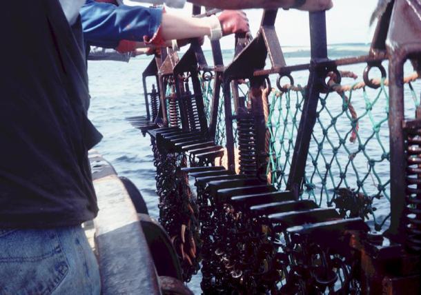 Scallop dredges and trawls