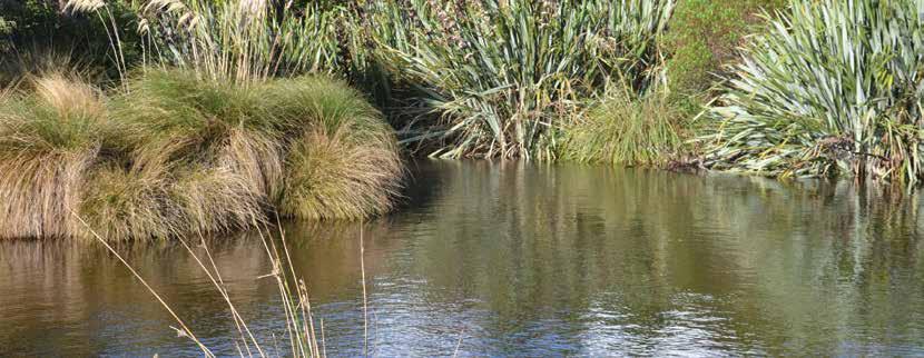 Factsheet Farmers rough guide to Environment Southland s rules Updated April 2018 Agrichemicals (pesticides and herbicides) Discharge of agrichemicals onto or into surface water The substance must be