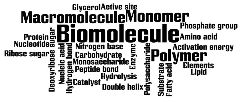 Unit 6: Biomolecules