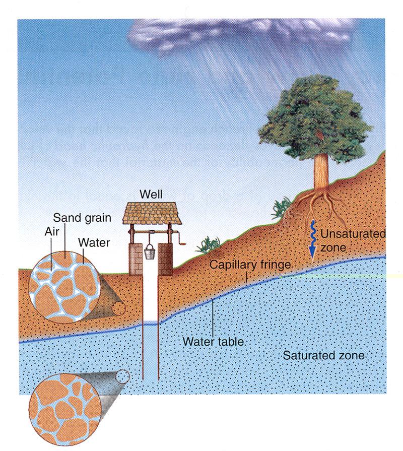 The Water Table Subsurface zone in which all rock openings are filled with water is