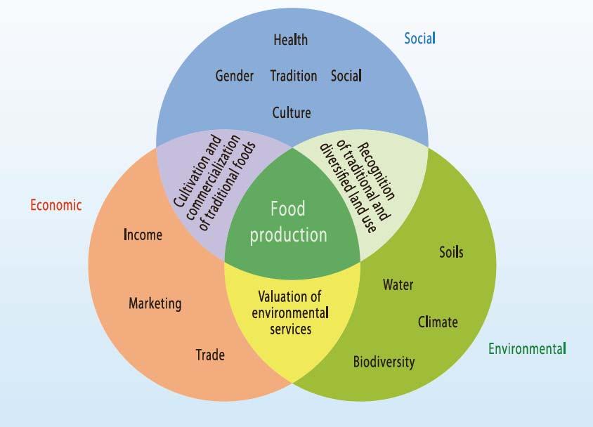 The interconnectedness of agricultures different roles and functions Agriculture at a Crossroads.