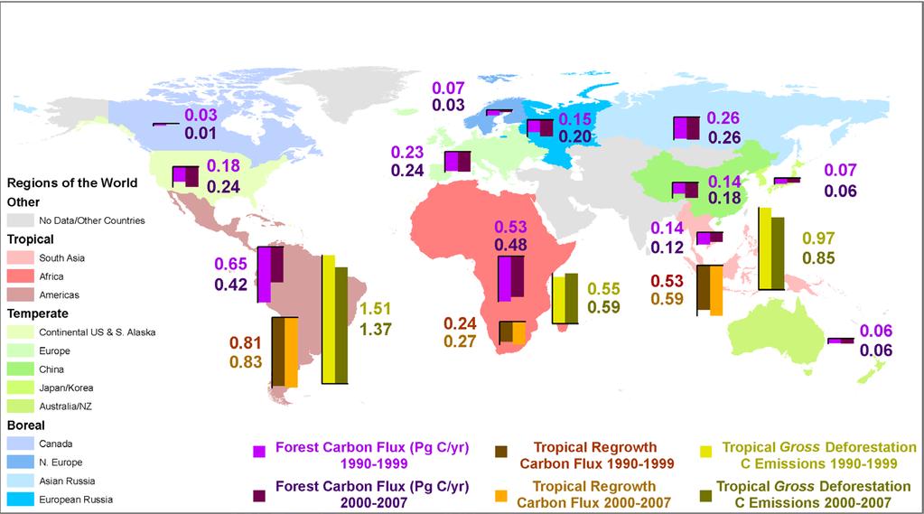 Large and Consistent Global Forest