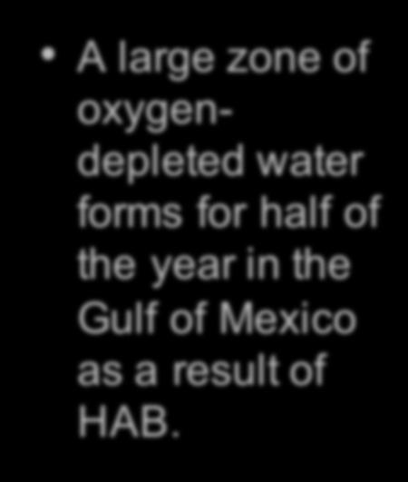 Oxygen Depletion in the Northern Gulf of Mexico A large zone of oxygendepleted