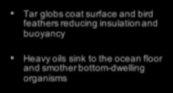 Oil Spills Sources: offshore wells, tankers, pipelines and storage tanks Effects: kill aquatic organisms, loss of