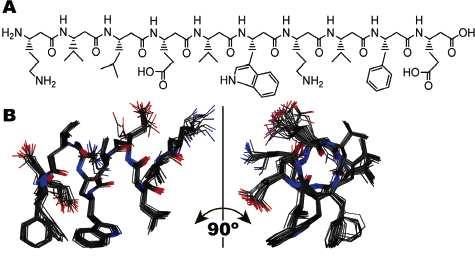 p53-mdm, beta-peptides β-peptides have stable secondary structures even for short sequences!