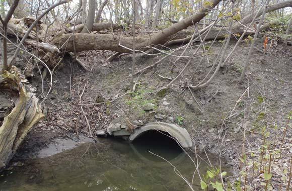 Hydraulic Pinch Points (Area 3): Undersized culverts constrain high stream flows increasing risks of flooding