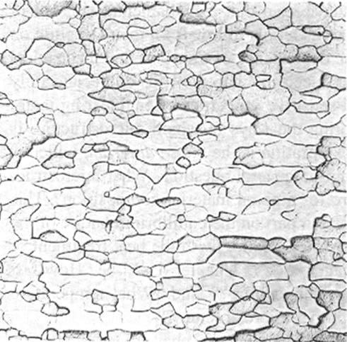 FIGURE 5-1 Figure 1: Single phase microstructure of commercially pure molybdenum. lthough there are many grains in this microstructure, each grain has the same, uniform composition (From J.