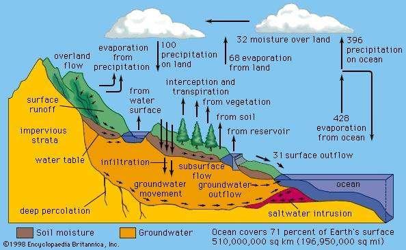 groundwater. Because watersheds are complex systems, each tends to respond differently to natural or human activities.