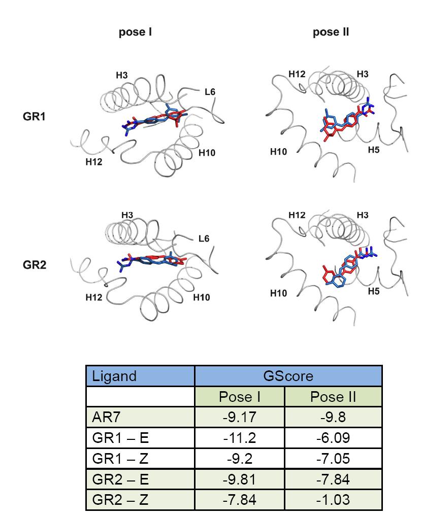 Supplementary Figure 15. Molecular docking of the E- and Z-isomers of GR1 and GR2 in the RARα binding pocket.