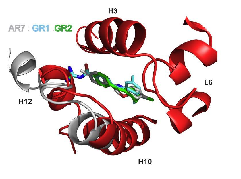 Supplementary Figure 16. Superposition of the crystal structures of RARα in active (red) and inactive (grey) conformation and docked structures of AR7, GR1 and GR2.