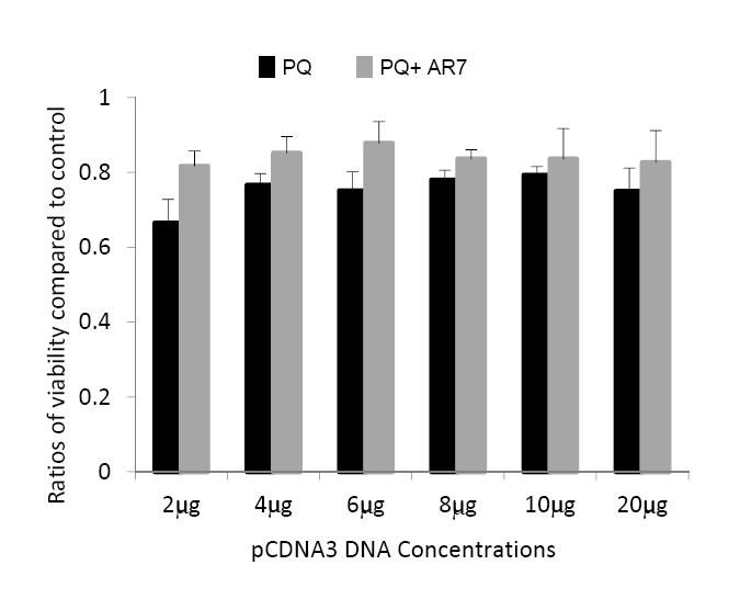 Supplementary Figure 20. Effect of DNA load on cellular viability.