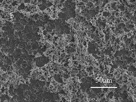 SEM micrographs of A36 steel