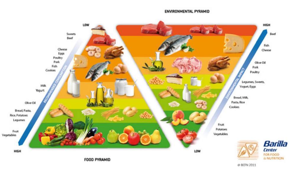 Small water footprint of a healthy diet Diversity a wide variety of foods Fresh food - vegetables, fruits, legumes, whole grains and pulses Resilient crops that are less prone to spoilage and require