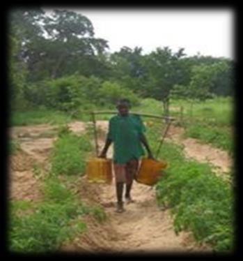 SMALL SCALE IRRIGATION Small- scale irrigation permits multiple cropping SS irrigation boosts farm yields and