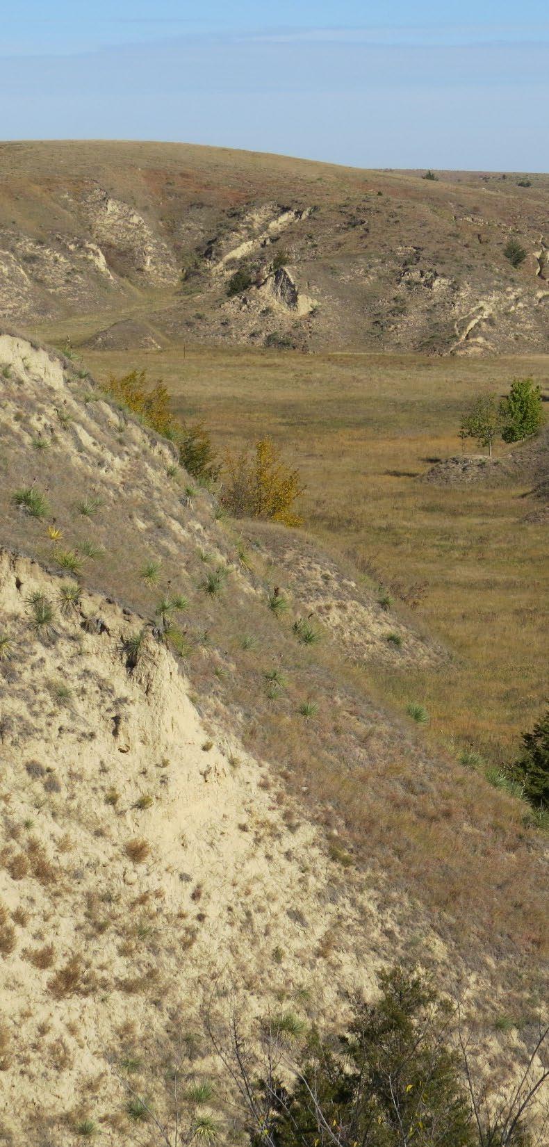 Landscape Position: There are 4 general landscape positions of rangelands in Nebraska. Each has distinct soils, hydrology, topography and plant community.