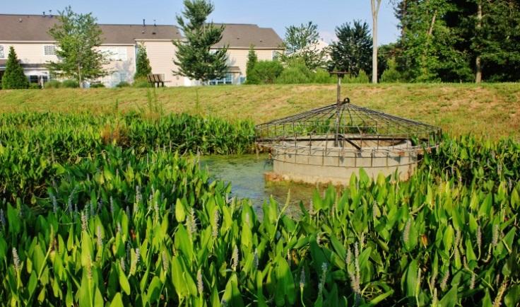 Stormwater Wetland Stormwater Wetlands are engineered and constructed wetlands that have similar functions and processes of natural wetlands for treating stormwater.