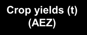 Crop yields (t) (AEZ) Spatial distribution of