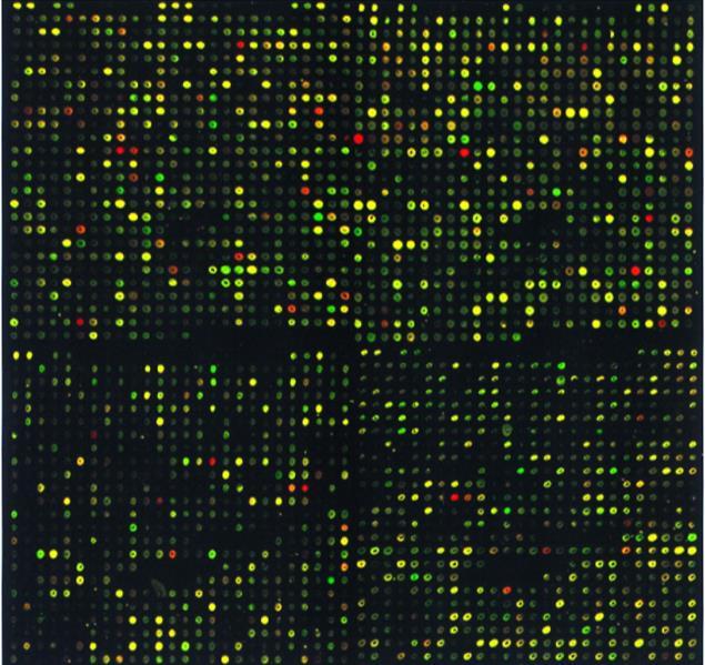 Design Experiment Microarray versus RNA-Seq RNA-seq Counts (discrete data) Negative binomial distribution