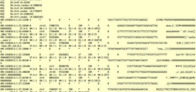 Analysis File formats: BAM and SAM files SAM file is a tab-delimited text file that contains sequence alignment information BAM files are