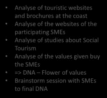 values given buy the SMEs => DNA