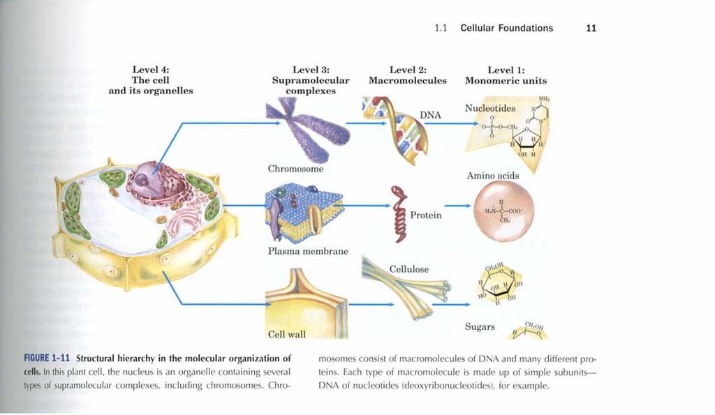 The cell a complex system (Source: