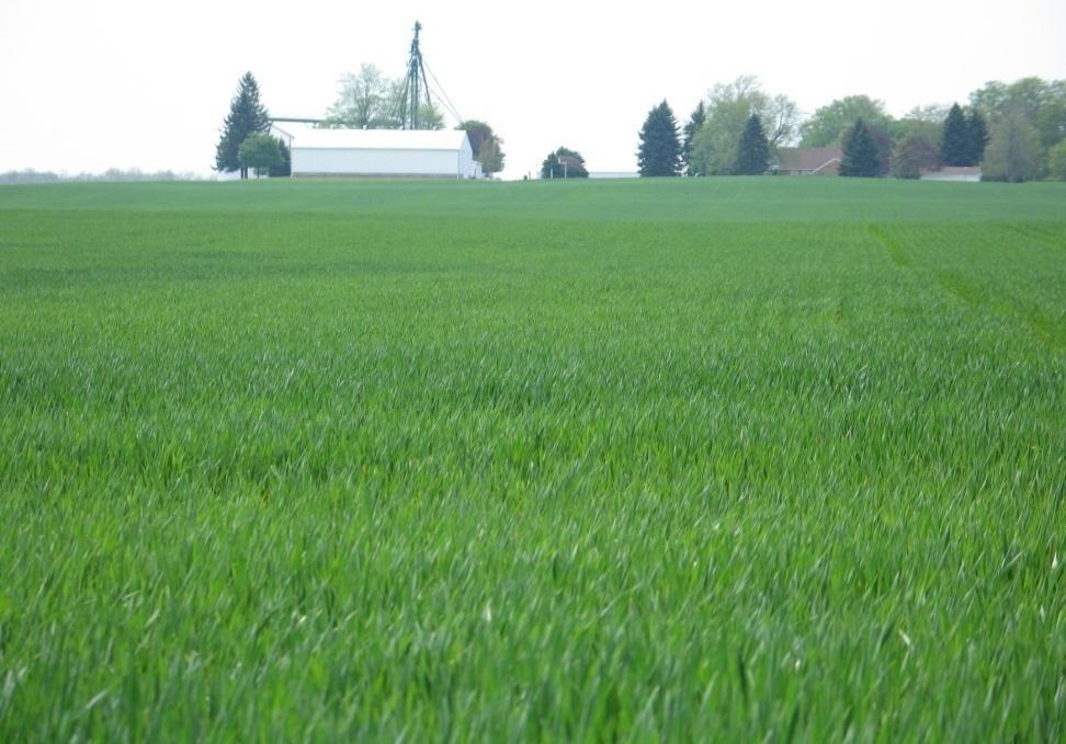 Double Cropping Grow crops (grasses) over winter & spring on corn or soy