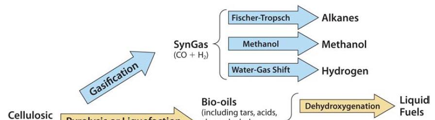 Various Routes to Biofuels January Science 27, for