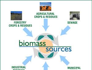 Biomass http://dailyenergy.net/search/biomass Definition: All living plant matter as well as organic wastes derived from plants, humans, marine life, and animals.
