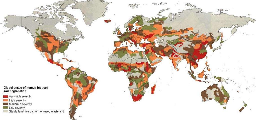 Global Overview of Land Degradation Problem