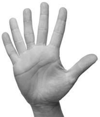 (Total 10 marks) Q7. Polydactyly is an inherited condition caused by a dominant allele. (a) The figure below shows the hand of a man with polydactyly. The man has an extra finger on each hand.