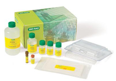 diluents Can be ordered as x-plex or Express assay Singleplex Sets, 1x96-well Individual coupled magnetic beads and detection antibodies Requires the Bio-Plex Pro