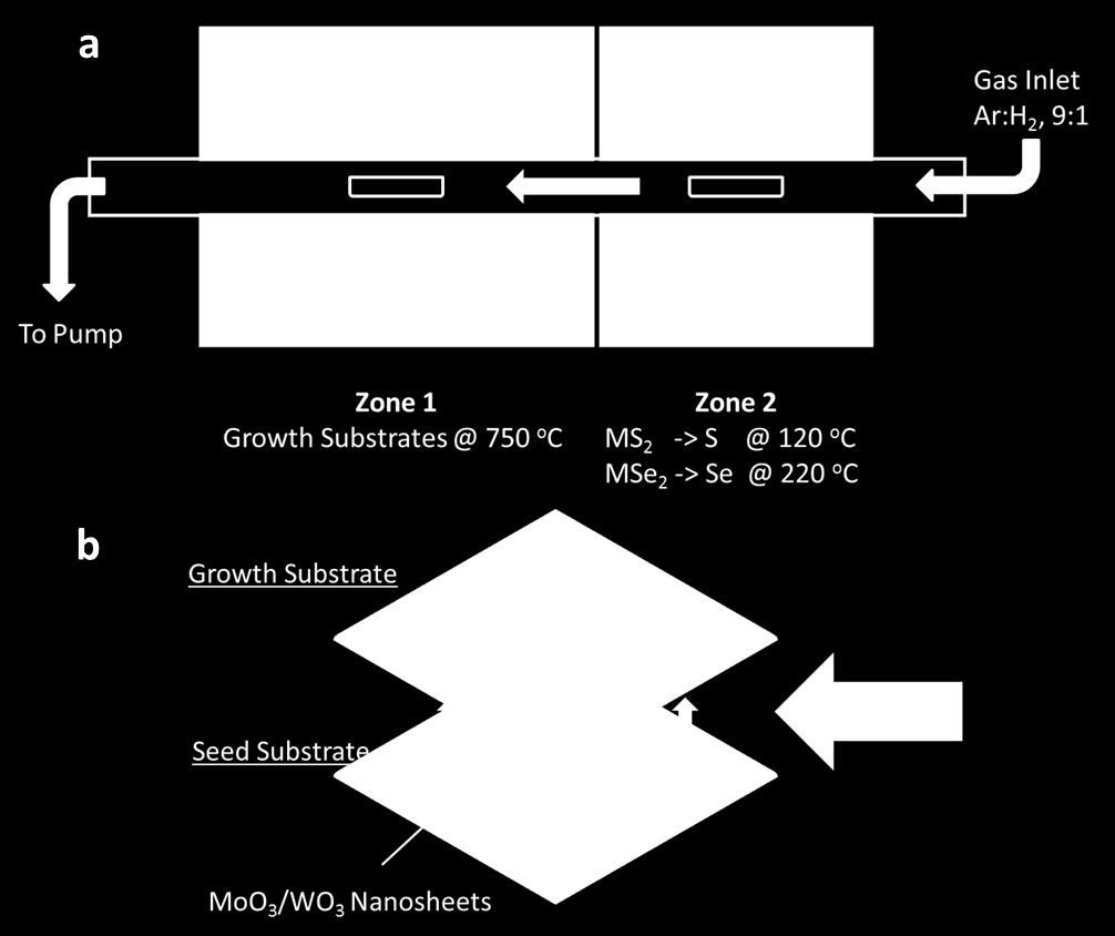 Growth Schematic The schematic in Figure S9(a) shows the quartz tube furnace configuration used for fabrication of CVD materials. A 10% H 2 /Ar flow enters through the gas inlet as labelled.