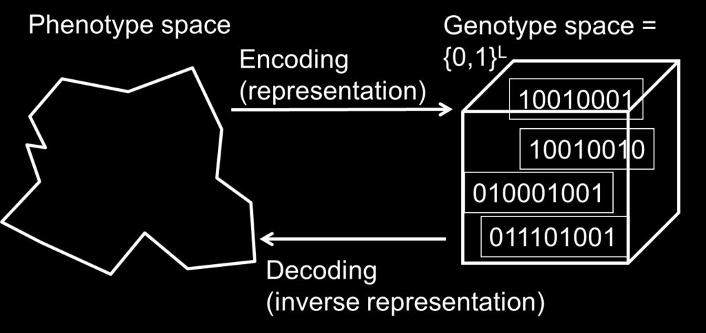 Representation SGA technical summary tableau Representation Recombination Mutation Parent selection Survivor selection Speciality Binary