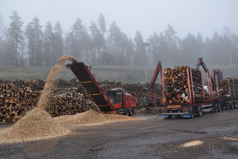 Biomass Energy The total bio-mass potential for