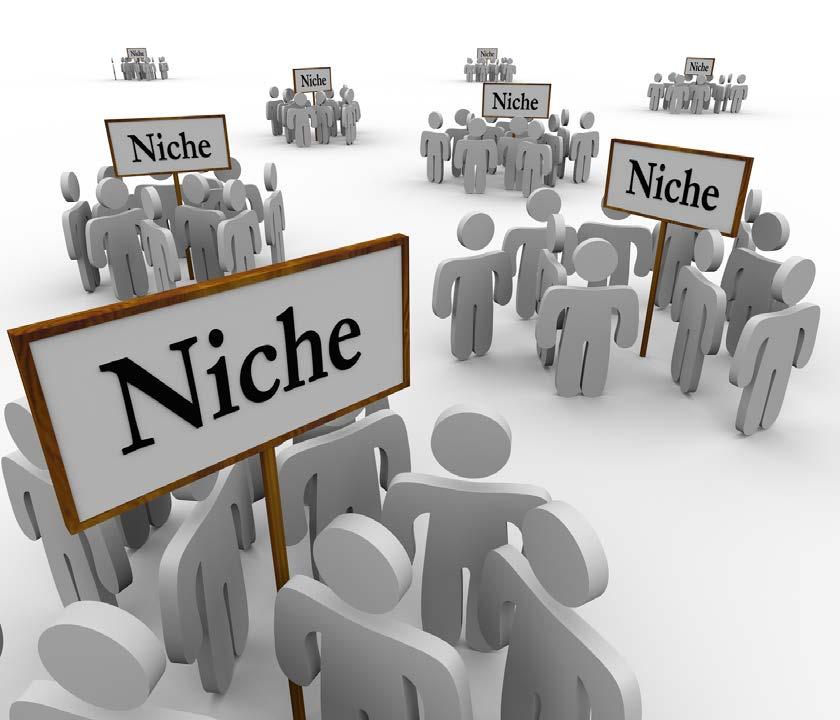 Identifying target markets After your market research analysis, find your niche.