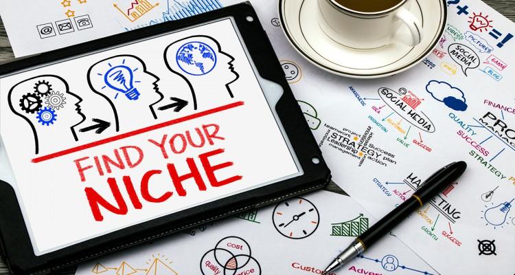 The perfect niche(s) Define your target market.