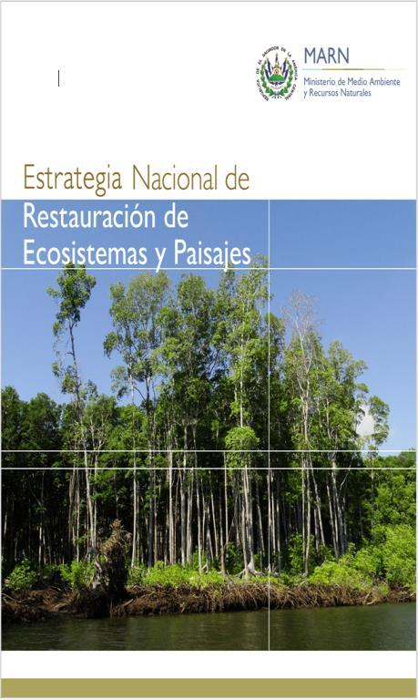 Key Process Highlights El Salvador has approached climate change from an adaptation perspective, with the aim of restoring the environmental capacity of ecosystems nationwide EN-REP (National REDD+