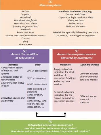Ecosystem condition ecosystem services (EEA JRC) Way forward Data integration: Corine 2012,