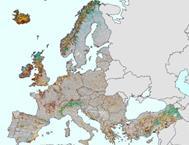European Ecosystem Map EUNIS Habitat Land cover