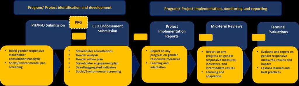 Figure 1. Gender Considerations in the GEF Project Cycle Project Identification (PIF and PFD Preparation) Policy requirements 8.