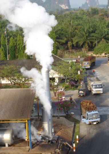 Example Palm Oil Mills Thailand Power Potential from POM Residues 10 MW / mill Biogas 1MW EFB 2.